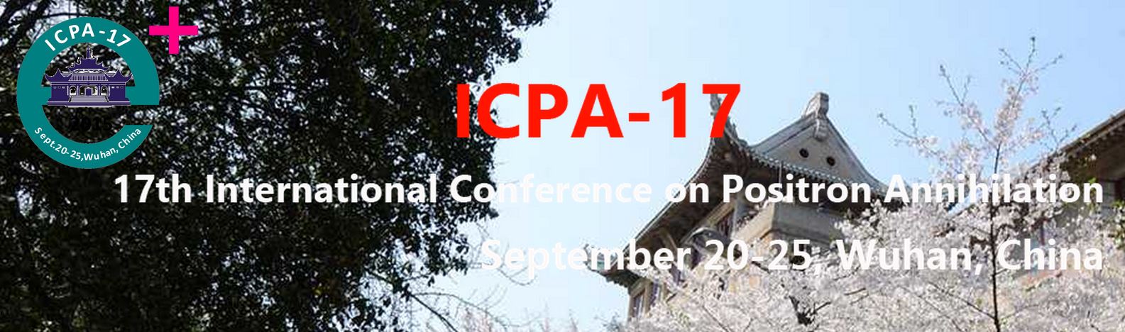 Web Mirror Page of ICPA-17